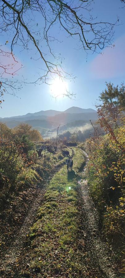 Domaine Le Lanis D'hôtes Avec Piscine Et Alojamento de Acomodação e Pequeno-almoço *