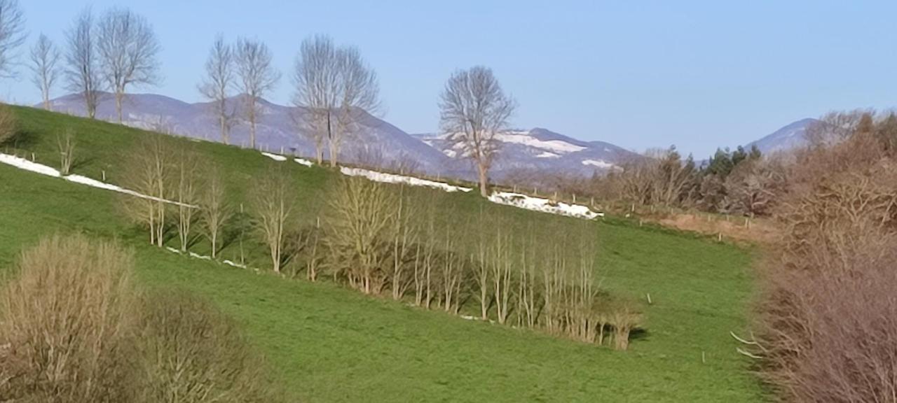 Domaine Le Lanis D'hôtes Avec Piscine Et Saint-Girons (Ariege)