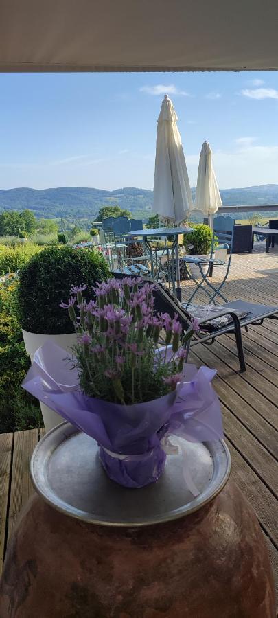 Domaine Le Lanis D'hôtes Avec Piscine Et Alojamento de Acomodação e Pequeno-almoço