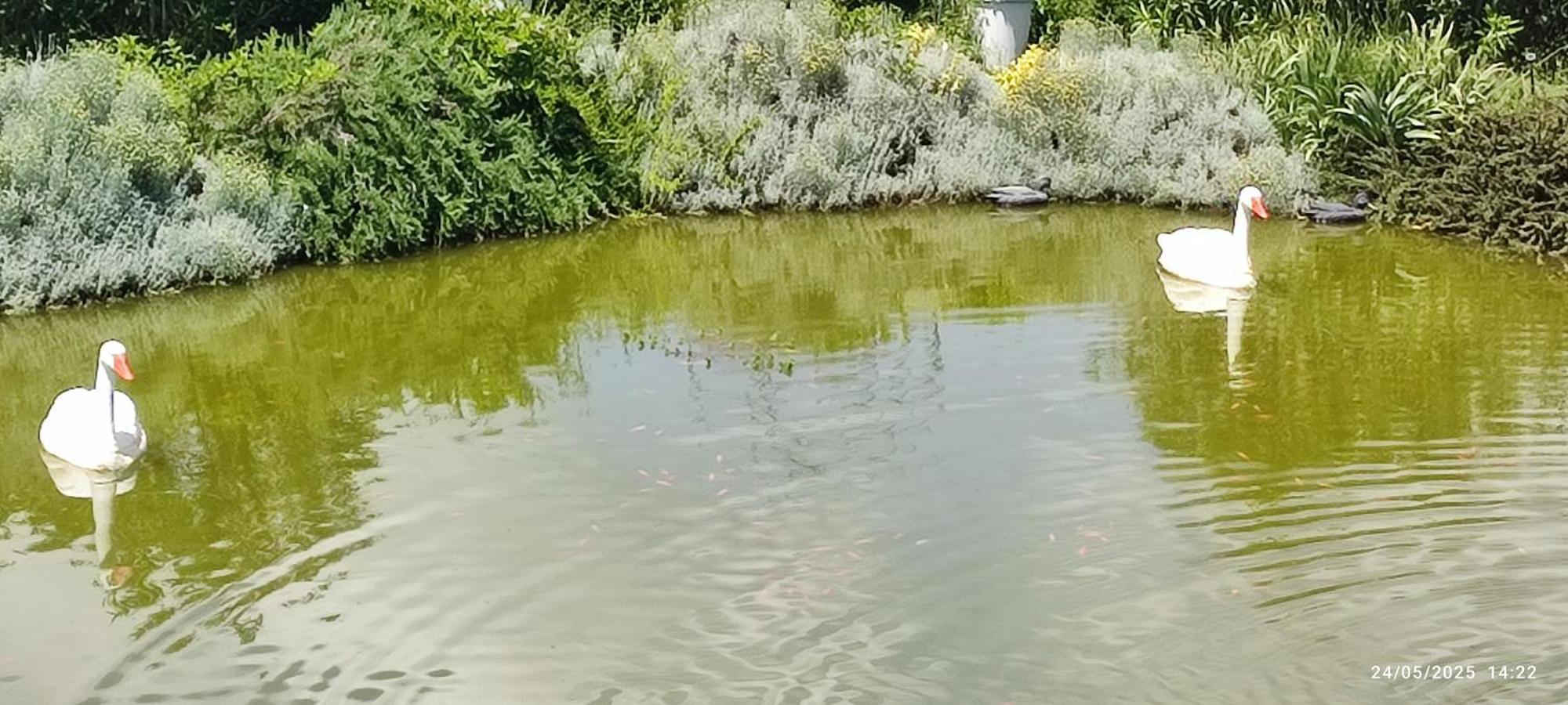 Domaine Le Lanis D'hotes Piscine Privatise Sur Reservation *